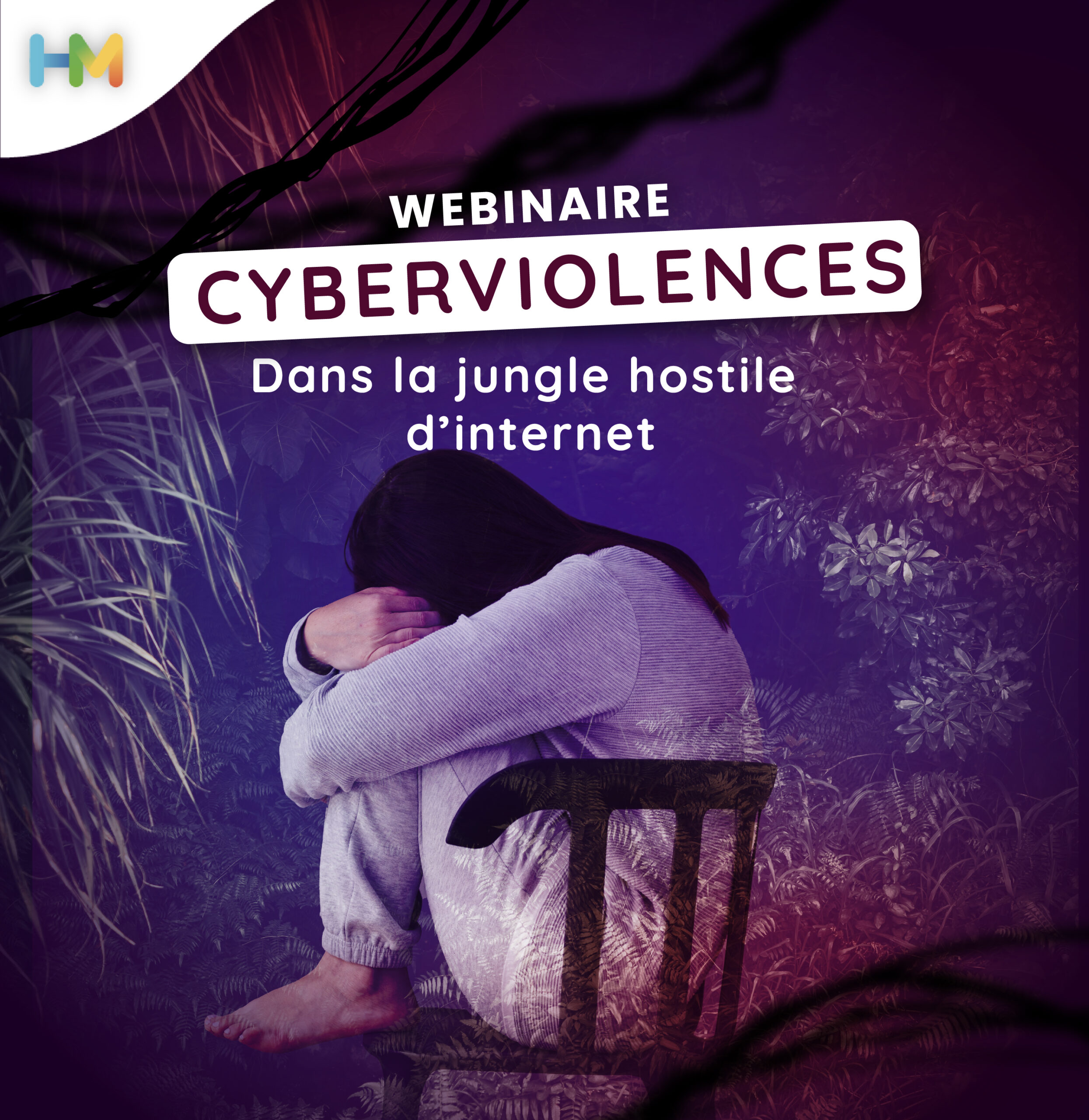 Webinaire Horizon Multimédia Juin 2023 - Cyberviolences dans la jungle hostile d'internet
